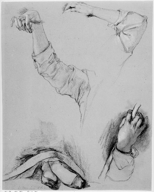 Feet and Hand Studies