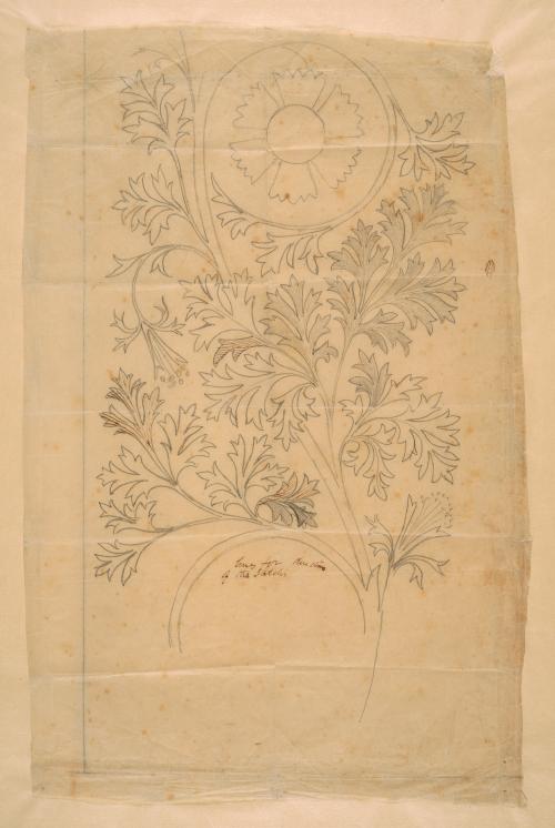 Design for Embroidery