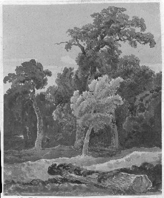 Vertical Landscape with Trees