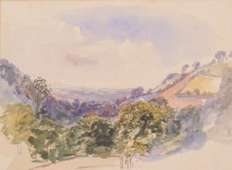 Hindhead, View from the Punchbowl