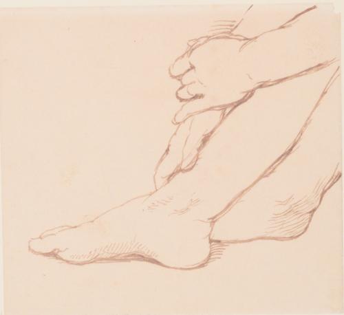 Hands and Feet Study