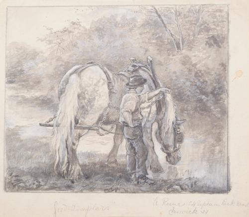 Boy Watering Plough Horse