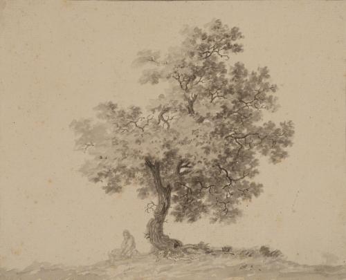 Tree with Seated Figure