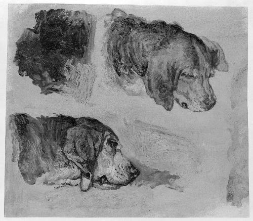 Two Studies of Bloodhounds