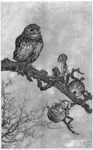 Two Pixies and an Owl on an Apple Branch