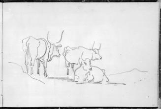 Sketchbook [p. 51]