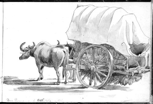 Sketchbook [p. 55]