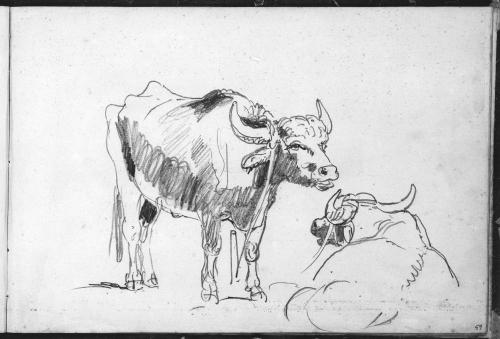 Sketchbook [p. 59]