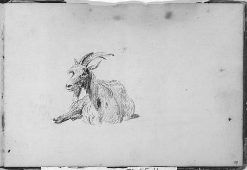 Sketchbook [p. 59]