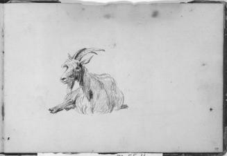Sketchbook [p. 59]