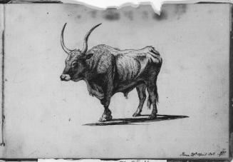 Sketchbook [p. 61]