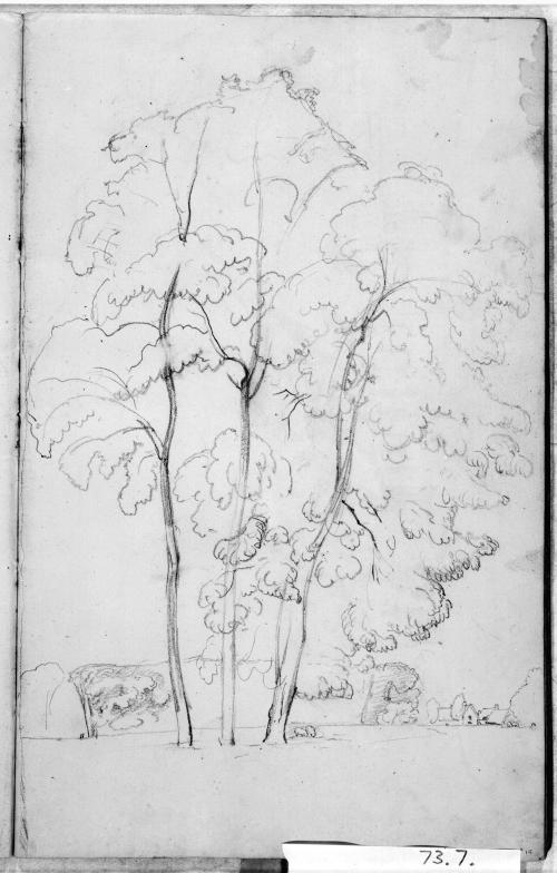 Sketchbook [p. 15]