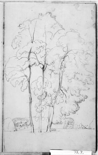 Sketchbook [p. 15]