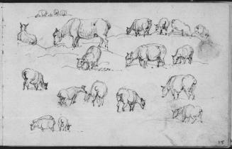 Sketchbook [p. 15]