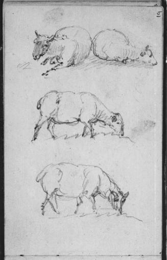 Sketchbook [p. 19]