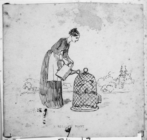Lady Watering a Parrot