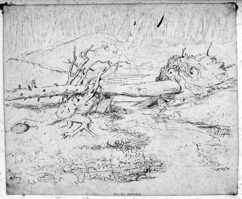 Sylvan Demons