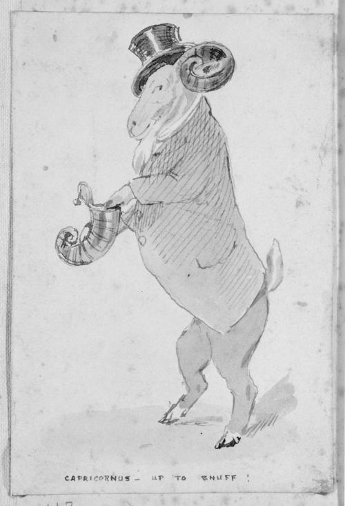 Capricorn
