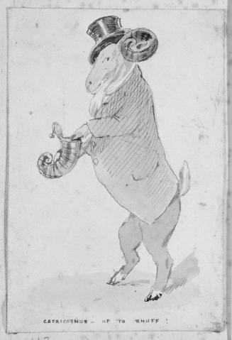 Capricorn
