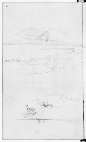 Sketchbook [p. 22]