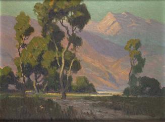 California Landscape