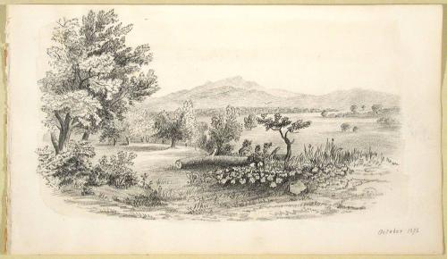 Landscape with Fallen Tree, October, 1872