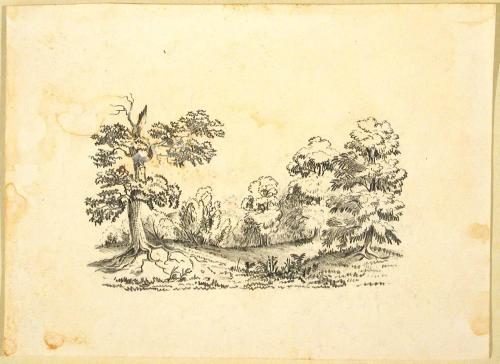 Landscape with Trees