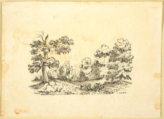 Landscape with Trees
