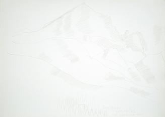 Mountain Landscape with House and Pine Trees