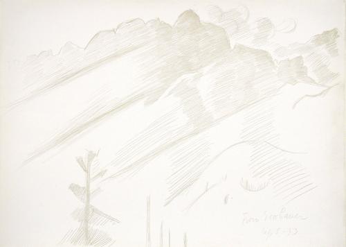 Mountain Landscape with Clouds and Trees