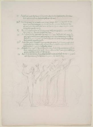Illustrated manuscript of Genesis : The creation of Adam