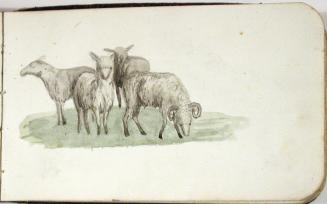 Sketchbook [p. 63]