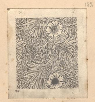 Marigold