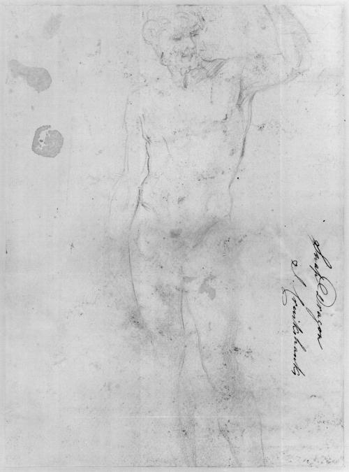 A Standing Nude Male Figure in a Classical Pose