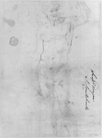 A Standing Nude Male Figure in a Classical Pose