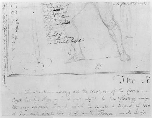 A Man's Forelegs in a Lunging Position