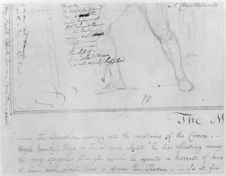 A Man's Forelegs in a Lunging Position