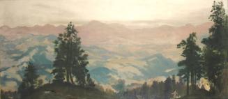 The Lure of the Chase