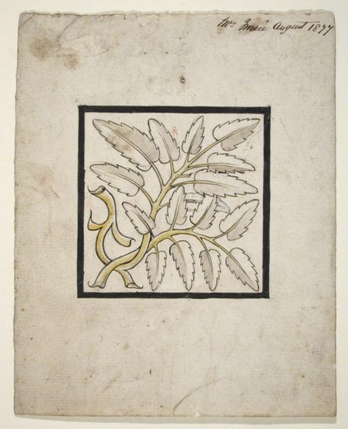 Design for Stained Glass