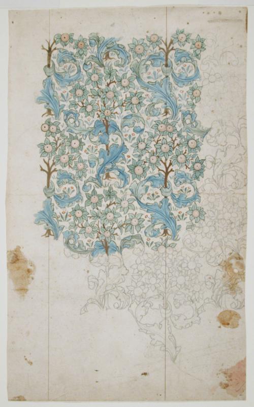 Orchard
