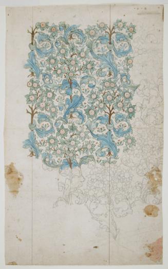 Orchard