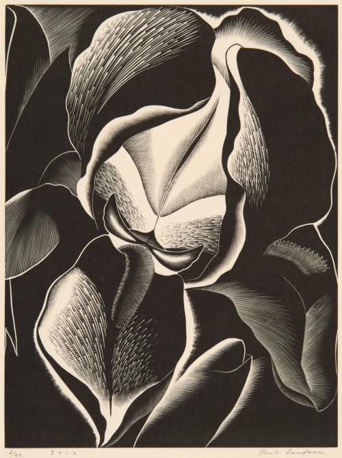 Paul Landacre