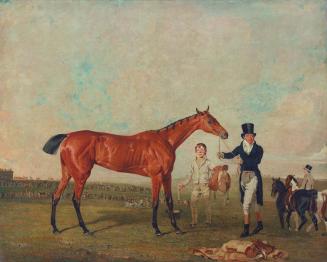 Shoveller Held by Her Trainer Will Chifney