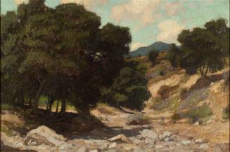 The Arroyo