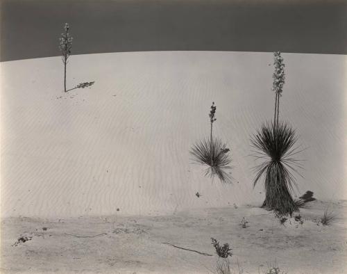 White Sands, New Mexico