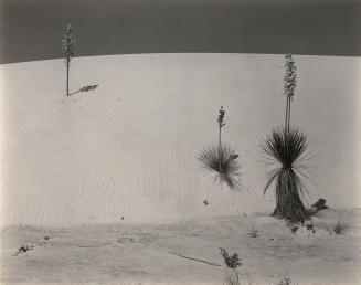 White Sands, New Mexico