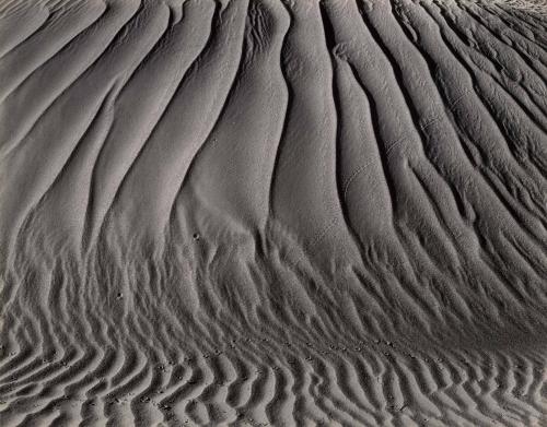 Oceano
