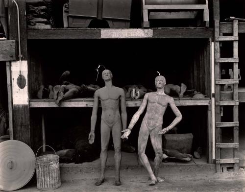 Rubber Dummies, MGM