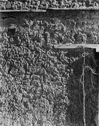 Old Adobe, New Mexico