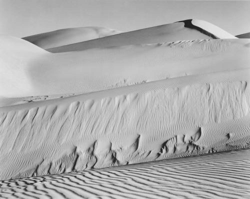 Dunes - Oceano